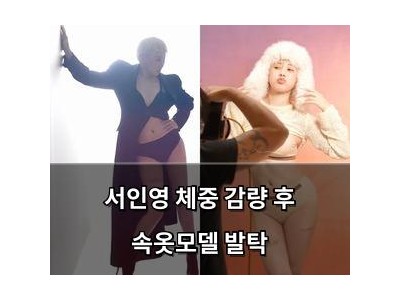 서인영 체중 감량 후 속옷모델 발탁